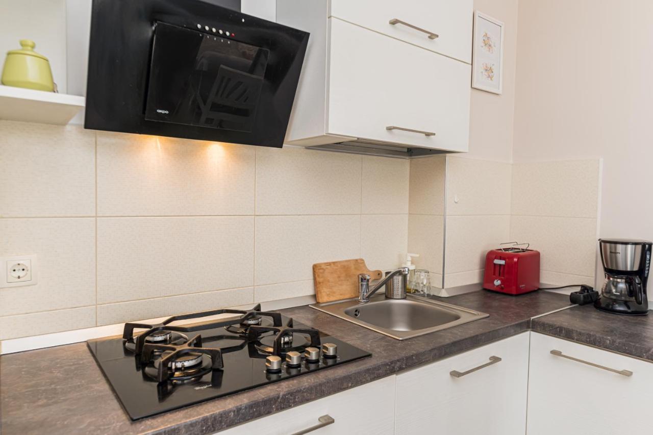 Apartament Belles Roses Brasov Daire Dış mekan fotoğraf