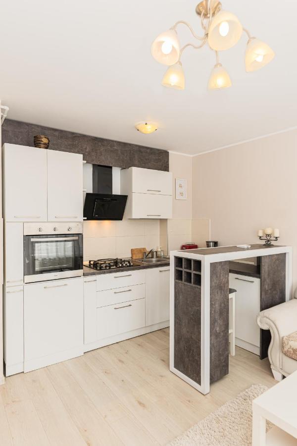 Apartament Belles Roses Brasov Daire Dış mekan fotoğraf